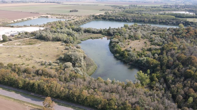 DJI_0065.JPG